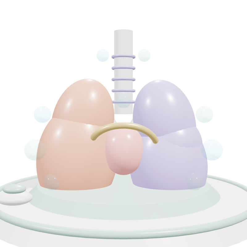 How Your Body Resets 3D Biological Model